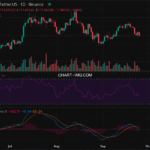 (未提取到标题)