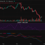 (未提取到标题)