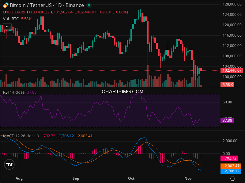 2025-11-08 比特币15分钟短线分析：建议做空